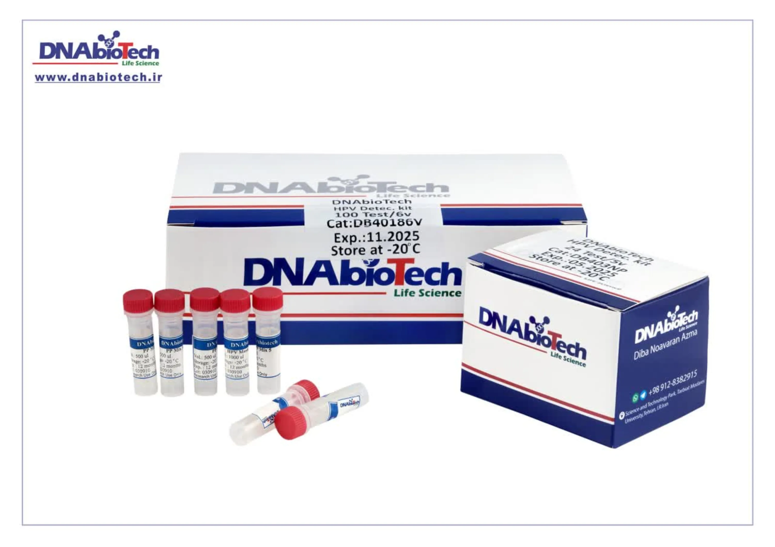 DNAbiotech  کالا زیست کیت تشخیص و ژنوتایپینگ HPV  DNAbiotech  کالا زیست کیت تشخیص و ژنوتایپینگ HPV